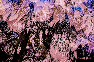 Tropical Abstract 3