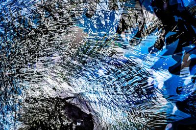 Tropical Abstract 5
