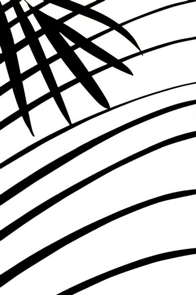 Shadow Palm