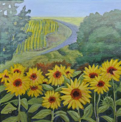 Reaching for the Sun