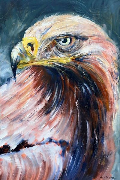 Golden Eagle