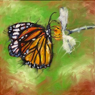 Monarch on Flower
