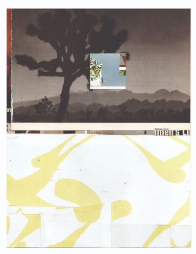 the mess in the middle