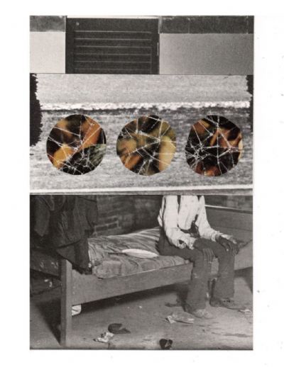 alone beyond the frozen vines