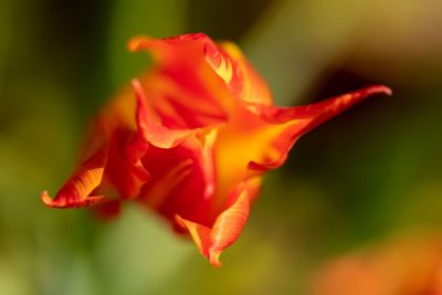 April Showers Bring May Flowers