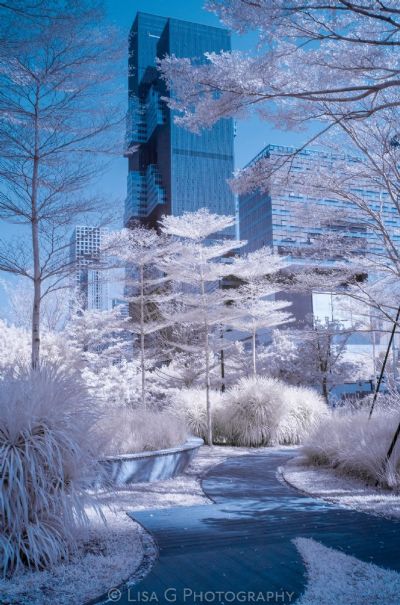 Shenzhen in IR