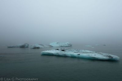 Icebergs in the Fog