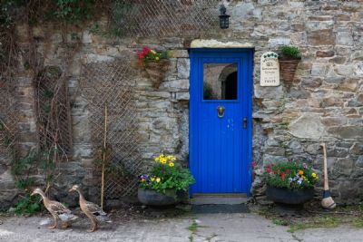 Blue Door